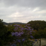 I Escuela de Primavera de la Sociedad Española para el Avance de la Evaluación Psicológica - Seminario Diocesano