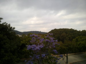 I Escuela de Primavera de la Sociedad Española para el Avance de la Evaluación Psicológica - Seminario Diocesano